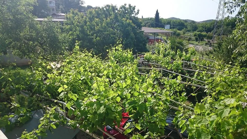Apartments Sandra Poreč